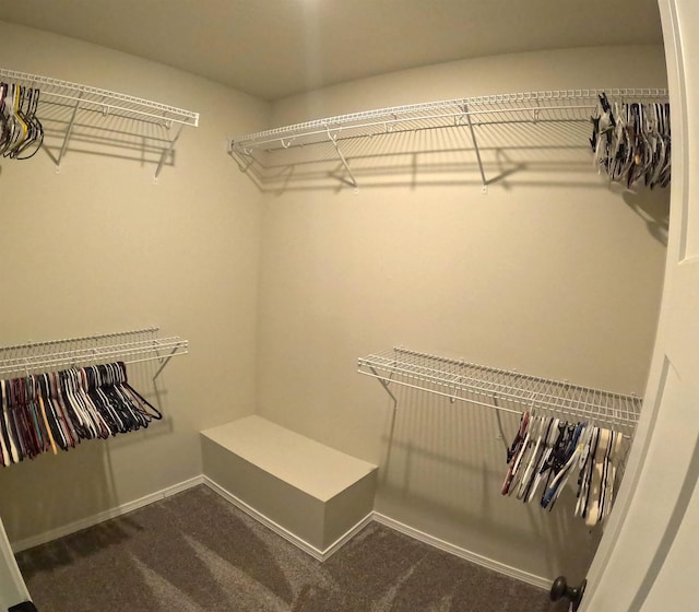 1217 S Greenacres Rd, Greenacres, WA 99016 - spacious closet featuring dark carpet