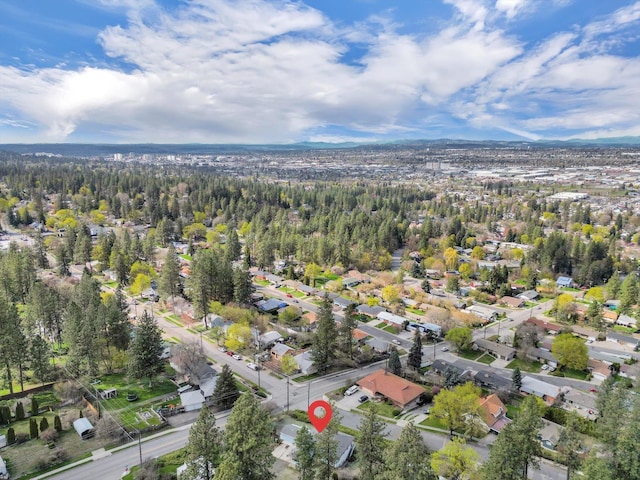 bird's eye view