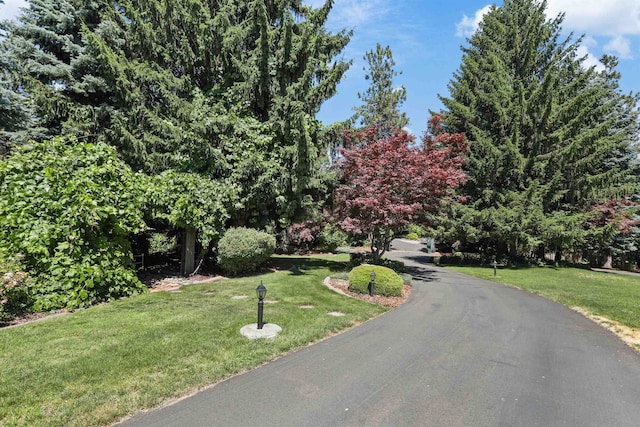 7816 E Gunning Ln, Spokane, WA 99212 - view of asphalt road