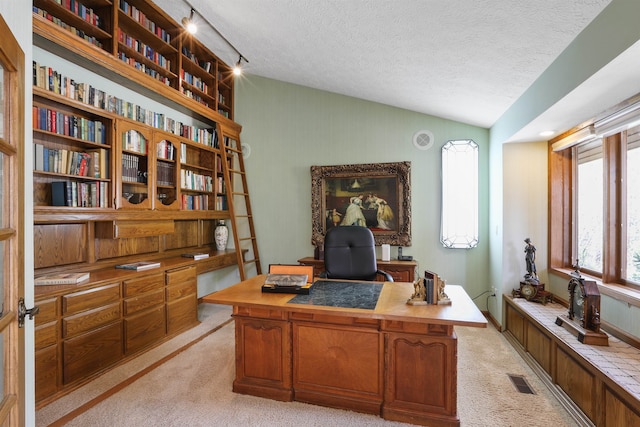 7816 E Gunning Ln, Spokane, WA 99212 - office area featuring light carpet, vaulted ceiling, and a textured ceiling