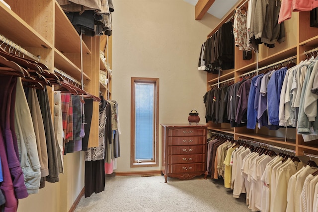 7816 E Gunning Ln, Spokane, WA 99212 - spacious closet featuring carpet flooring