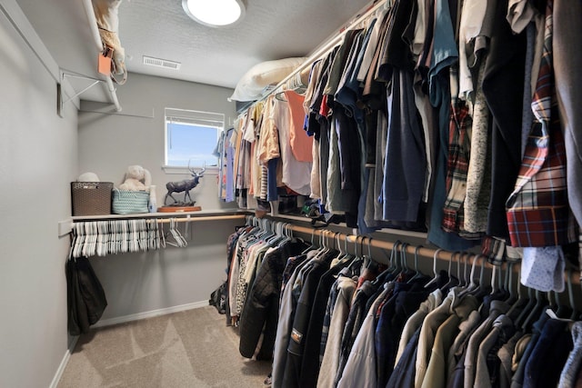 spacious closet with carpet floors