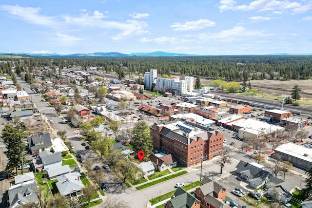 219 F St, Cheney, WA 99004 - bird's eye view of a forest