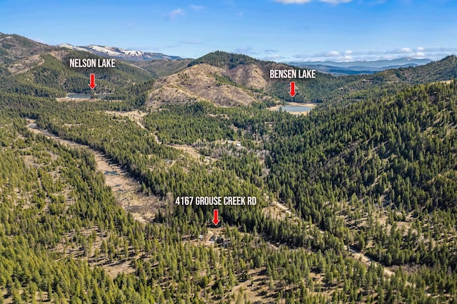 4167 Grouse Creek Rd, Loon Lake, WA 99148 - mountain view featuring a forest view