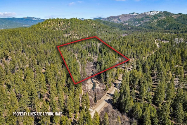 4167 Grouse Creek Rd, Loon Lake, WA 99148 - drone / aerial view with a wooded view and a mountain view