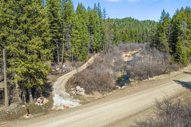 4167 Grouse Creek Rd, Loon Lake, WA 99148 - drone / aerial view featuring a view of trees