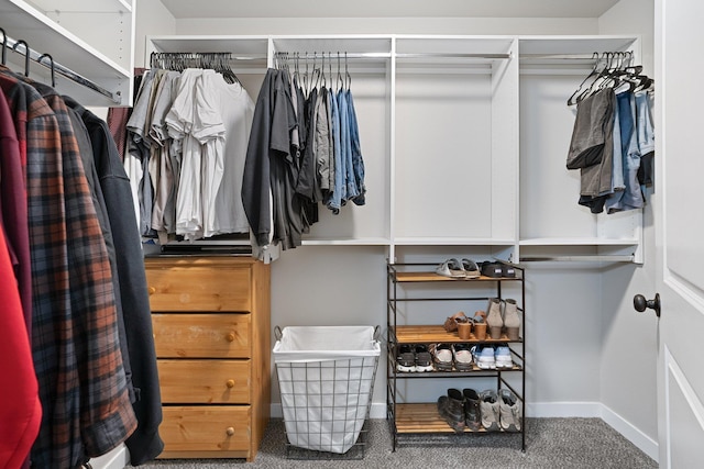 spacious closet featuring carpet flooring