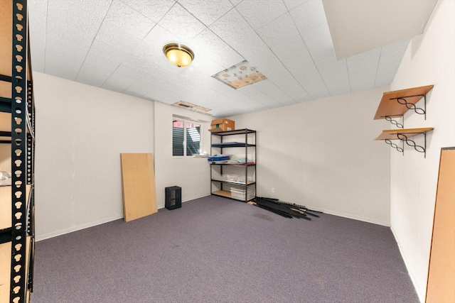 5905 W Excell Ave, Spokane, WA 99208 - below grade area with carpet floors