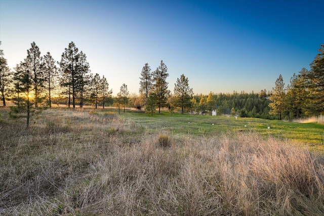 view of local wilderness with a rural view