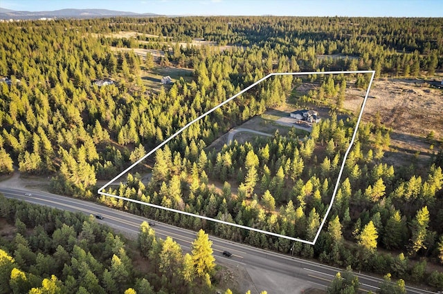 bird's eye view featuring a forest view