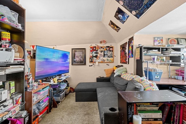723 W Montgomery Ave, Spokane, WA 99205 - view of carpeted living area