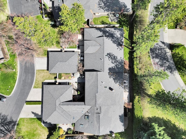 drone / aerial view