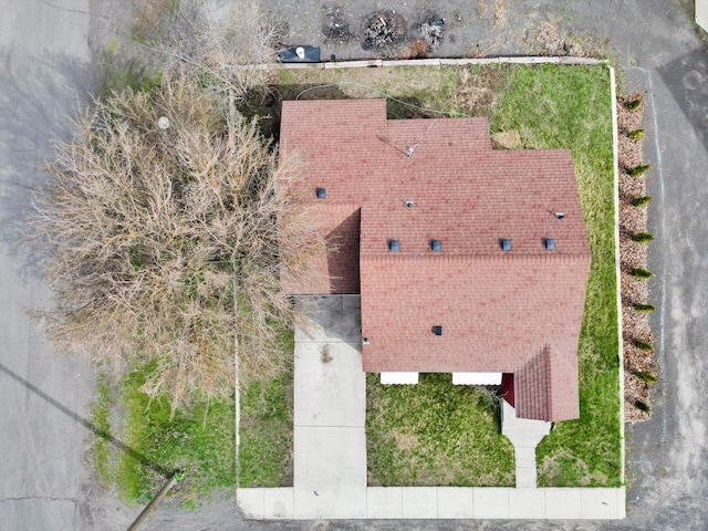 drone / aerial view