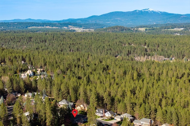 drone / aerial view featuring a mountain view and a view of trees
