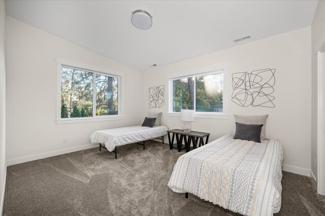 3022 S Manito Blvd, Spokane, WA 99203 - bedroom featuring lofted ceiling, baseboards, visible vents, and multiple windows