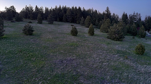 15013 E Palomino Ln, Mica, WA 99023