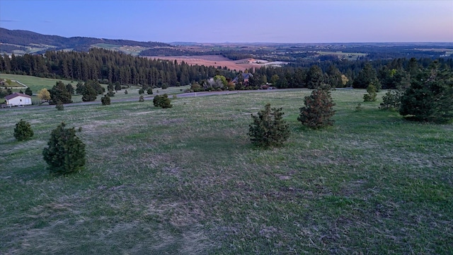 15013 E Palomino Ln, Mica, WA 99023