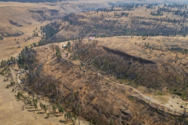 31725 N Hawk Creek Rd, Davenport, WA 99122 - bird's eye view featuring a rural view