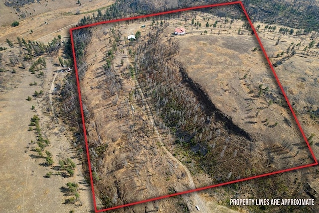 31725 N Hawk Creek Rd, Davenport, WA 99122 - drone / aerial view featuring a rural view