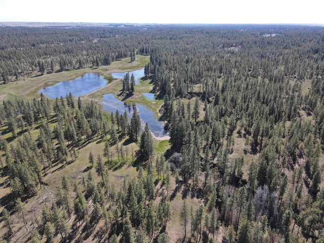 6901 W Depot Springs Rd, Cheney, WA 99004 - drone / aerial view featuring a water view and a wooded view