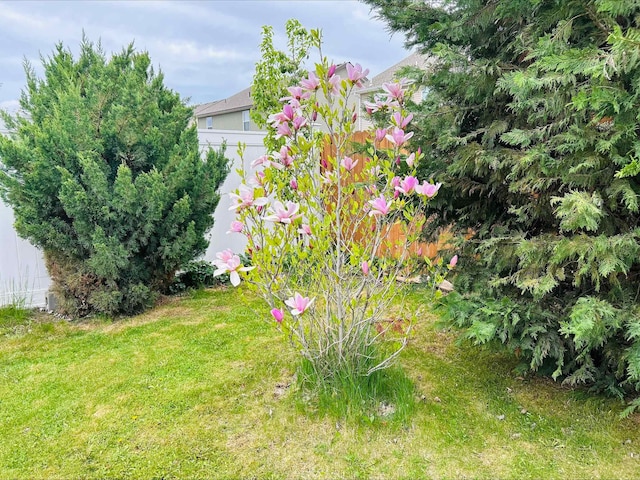12827 W 3rd Ave, Airway Heights, WA 99001 - view of green lawn