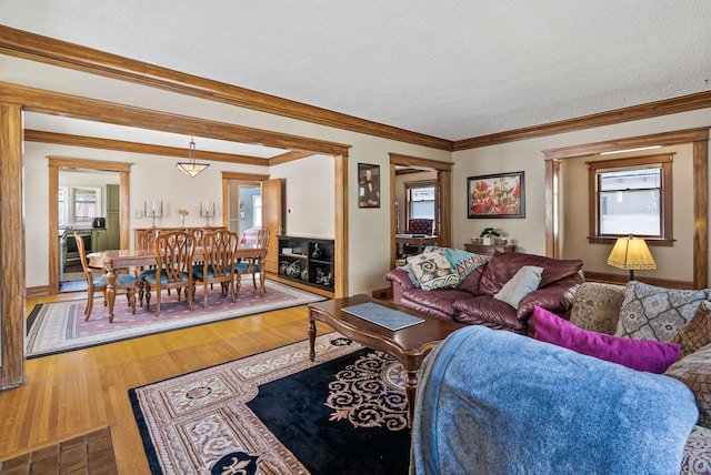 1607 W 11th Ave, Spokane, WA 99204 - living area featuring a textured ceiling, wood finished floors, and crown molding