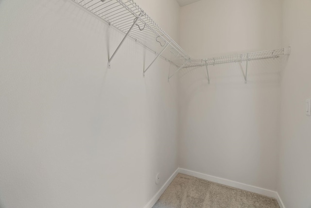 spacious closet featuring light carpet