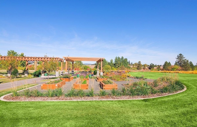 view of community featuring a lawn, a pergola, and a vegetable garden