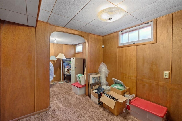 basement featuring carpet, arched walkways, wooden walls, and plenty of natural light