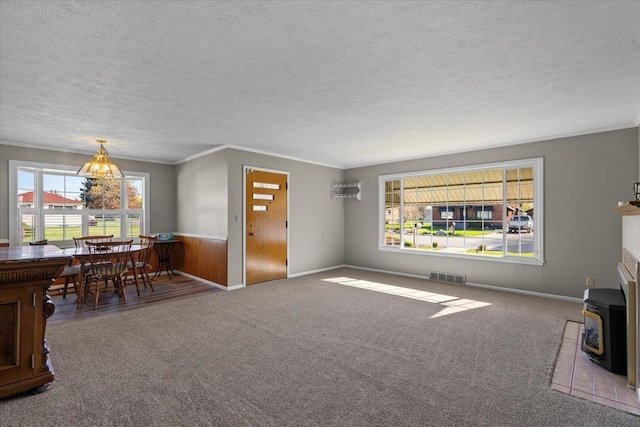 living area with a wood stove, a textured ceiling, visible vents, and plenty of natural light
