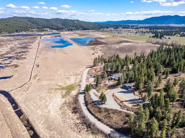 11007 N W Newman Lake Rd, Newman Lake, WA 99025