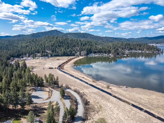 11007 N W Newman Lake Rd, Newman Lake, WA 99025