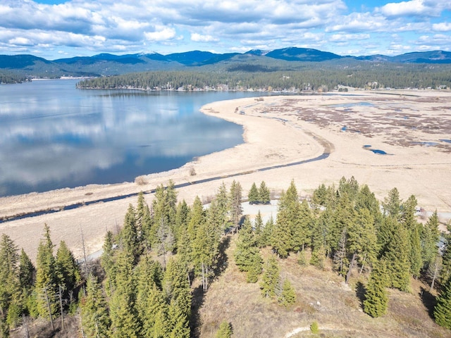 11007 N W Newman Lake Rd, Newman Lake, WA 99025