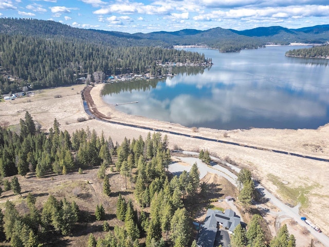 11007 N W Newman Lake Rd, Newman Lake, WA 99025
