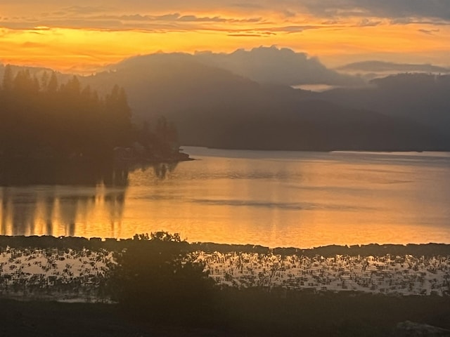 11007 N W Newman Lake Rd, Newman Lake, WA 99025