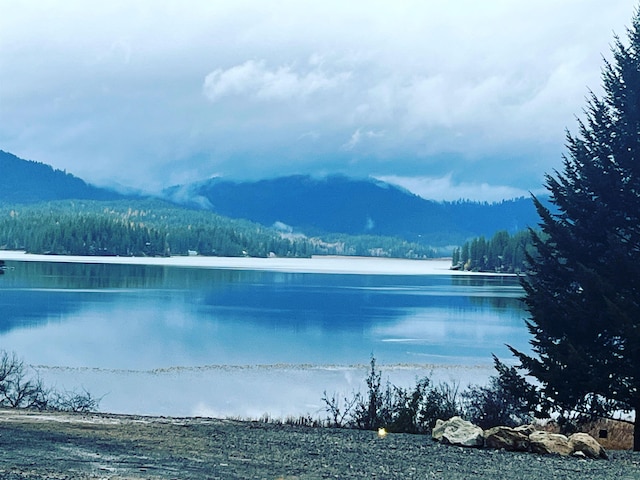 11007 N W Newman Lake Rd, Newman Lake, WA 99025