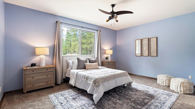 7314 W Griffin Rd, Cheney, WA 99004 - photo 13