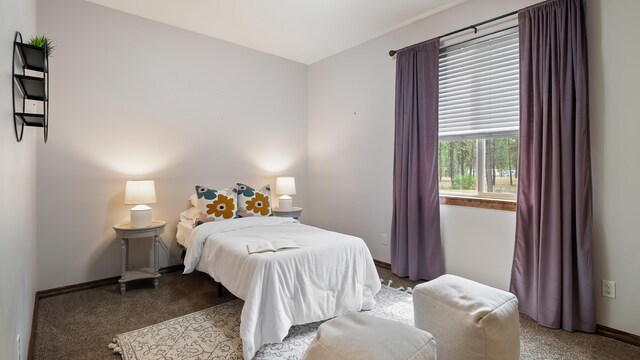 7314 W Griffin Rd, Cheney, WA 99004 - photo 19