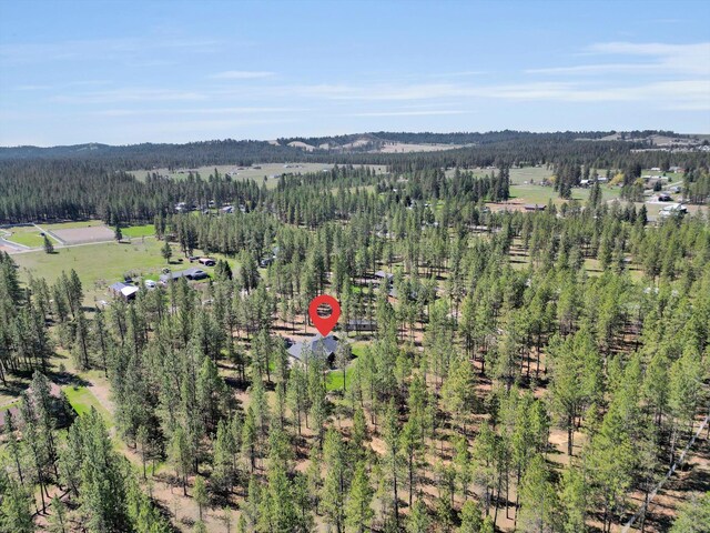 7314 W Griffin Rd, Cheney, WA 99004 - photo 33