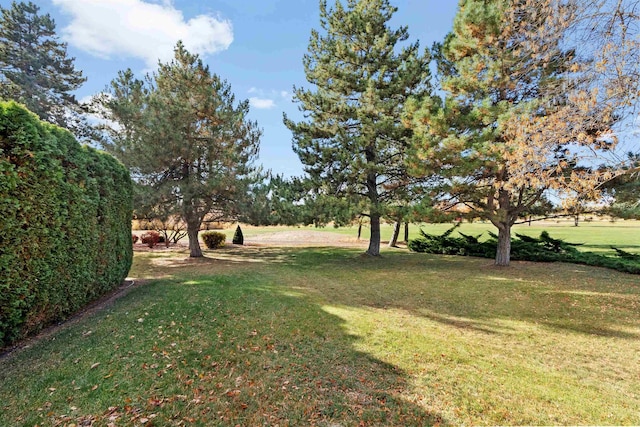 9718 W Masters Ln, Cheney, WA 99004 - photo 44