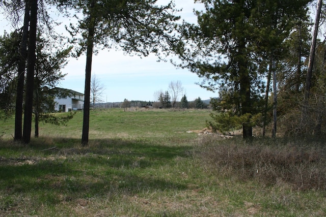 36916 N Grove Rd, Deer Park, WA 99006 - photo 32