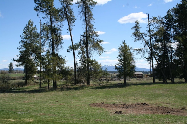 36916 N Grove Rd, Deer Park, WA 99006 - photo 44