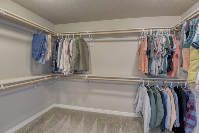 spacious closet with carpet
