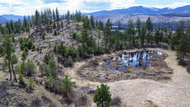 7XX Old Arden Hwy, Colville, WA 99114 - photo 1