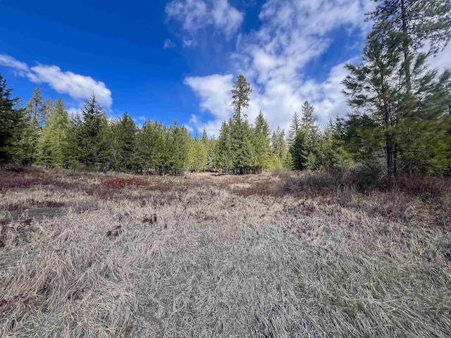 7XX Old Arden Hwy, Colville, WA 99114 - photo 2