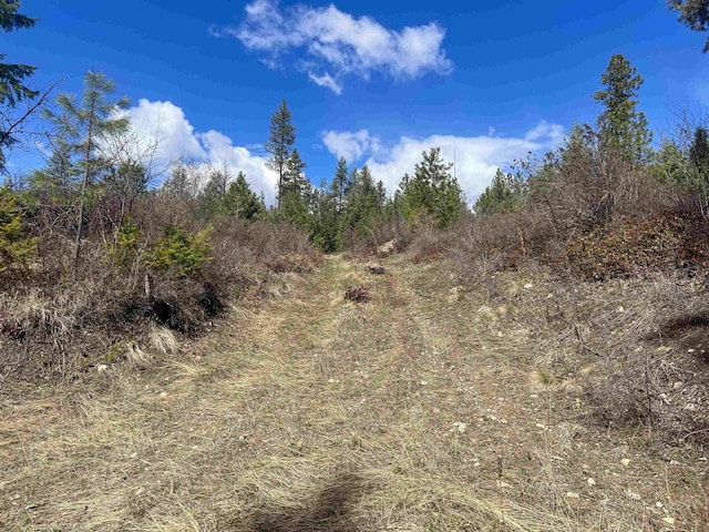 7XX Old Arden Hwy, Colville, WA 99114 - photo 11
