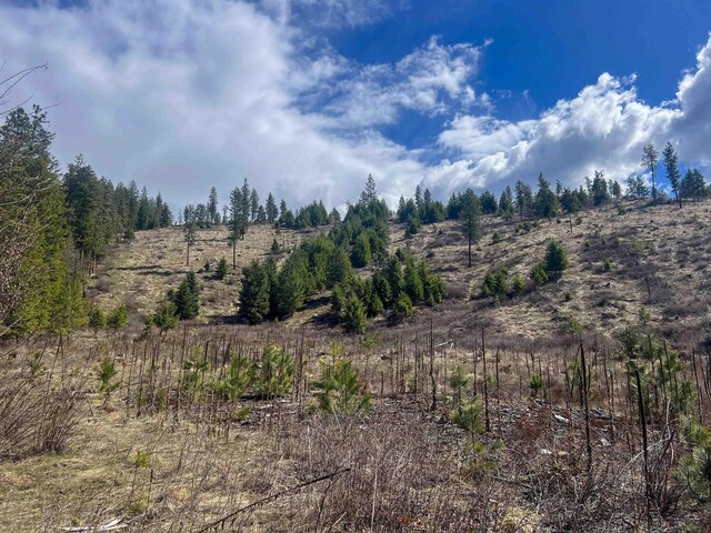 7XX Old Arden Hwy, Colville, WA 99114 - photo 13