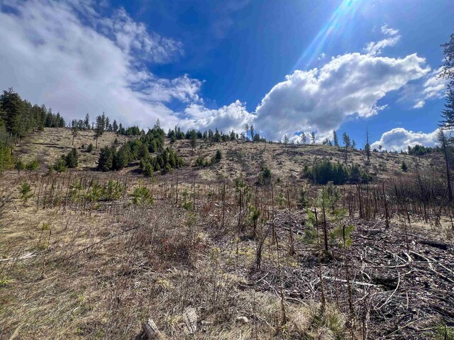 7XX Old Arden Hwy, Colville, WA 99114 - photo 15