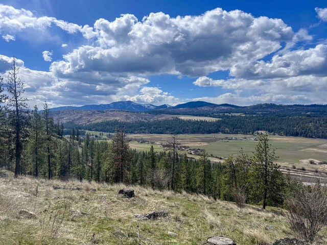 7XX Old Arden Hwy, Colville, WA 99114 - photo 17