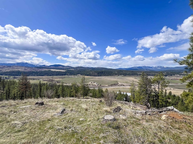 7XX Old Arden Hwy, Colville, WA 99114 - photo 18